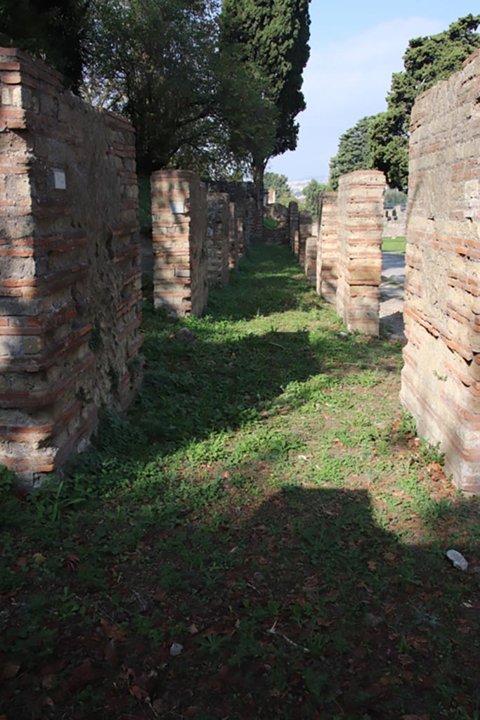 HGW08 Pompeii, October 2023. Looking north along portico. Photo courtesy of Klaus Heese.