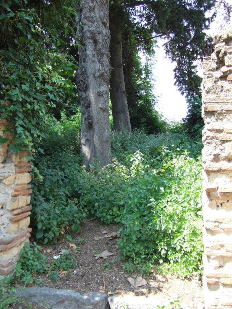 HGW15a Pompeii. May 2006. Looking north through entrance doorway.