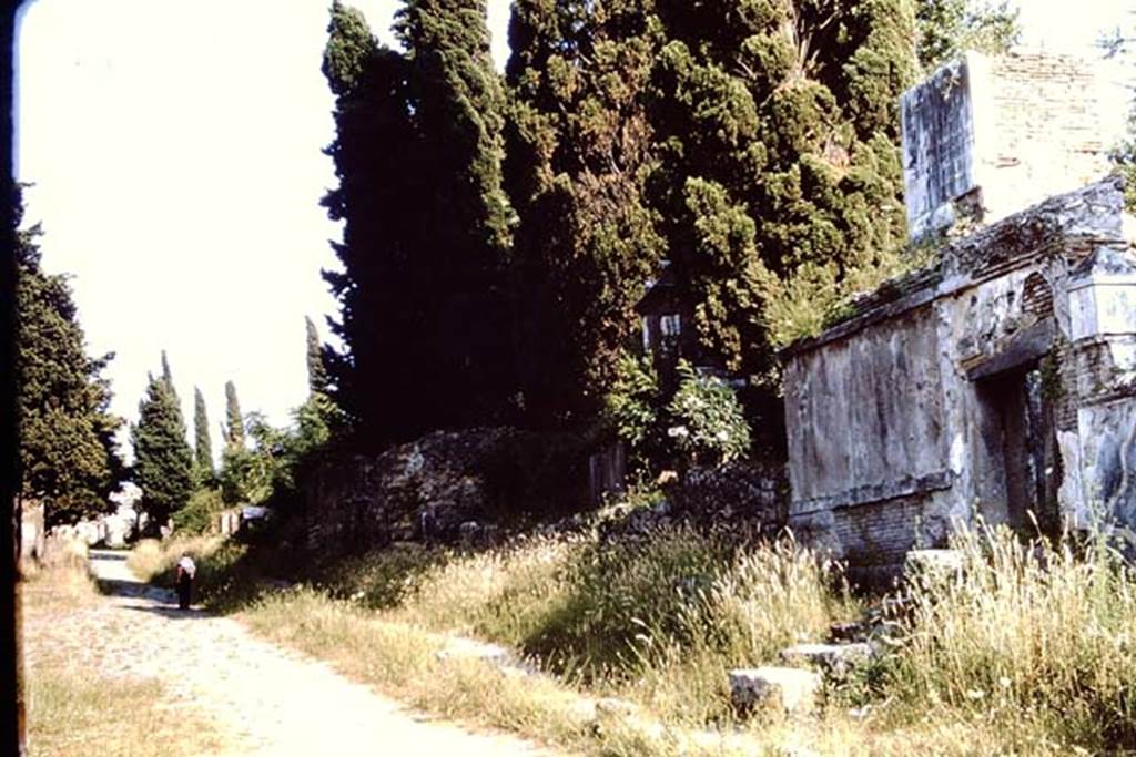 HGW17Pompeii. 1964. Looking south-west towards the front of the tomb. Photo by Stanley A. Jashemski.
Source: The Wilhelmina and Stanley A. Jashemski archive in the University of Maryland Library, Special Collections (See collection page) and made available under the Creative Commons Attribution-Non Commercial License v.4. See Licence and use details.
J64f1834