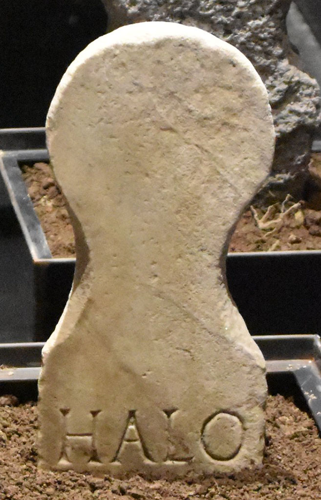 Pompeii Porta Nocera. Tomb 3ES? March 2024. Columella of Halo.
This had the inscription -
HALO
FILIO P(ater).
On display in exhibition “L’altra Pompei, vite comuni all’ombra del Vesuvio”.
Photo courtesy of Giuseppe Ciaramella.