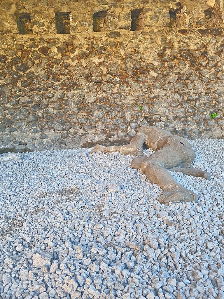 North-west side of Via delle Tombe. October 2024. 
Plaster cast of an adult. Photo courtesy of Giuseppe Ciaramella.
