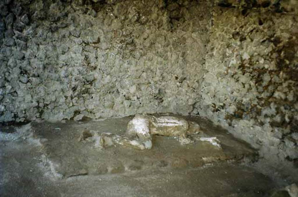 Pompeii, outside Porta Nocera. July 2010. Plaster cast of a second fleeing victim, found in 1956/7. Photo courtesy of Rick Bauer. 