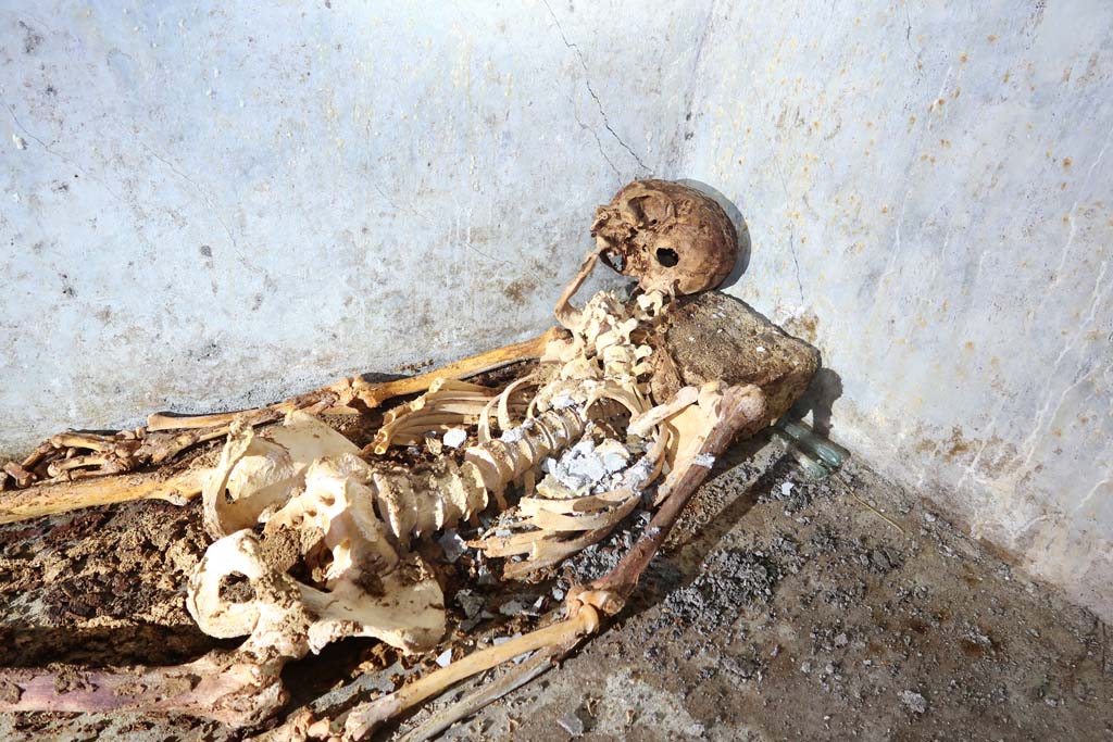 Porta Sarno la tomba di Marcus Venerius Secundio. August 2021. One of the best-preserved skeletons ever found in the ancient city.
During the Roman period at Pompeii, funeral rites usually involved cremation, while only small children were buried. The burial of Marcus Venerius is thus highly unusual also for the funeral rite that was adopted, considering that he was an adult man over 60 years of age, as evidence emerging from the initial analysis of bones found in the burial chamber indicates. The characteristics of the funerary chamber, which consisted of a hermetically sealed room, created conditions that allowed for the exceptional state of preservation in which the skeleton was found, with hair and an ear still visible.
Uno degli scheletri meglio conservati ritrovati nella città antica.
Durante il periodo romano a Pompei, i riti funebri di solito prevedevano la cremazione, mentre solo i bambini piccoli venivano sepolti. La sepoltura di Marco Venerio è dunque altamente insolita anche per il rito funerario adottato, considerando che si trattava di un uomo adulto di più di 60 anni, come emerge da una prima analisi delle ossa ritrovate nella camera funeraria. Le caratteristiche della camera funeraria, che consisteva in un ambiente ermeticamente chiuso, hanno creato le condizioni per lo stato di conservazione eccezionale in cui è stato trovato lo scheletro, con capelli e un orecchio ancora visibili.
Photograph © Parco Archeologico di Pompei.