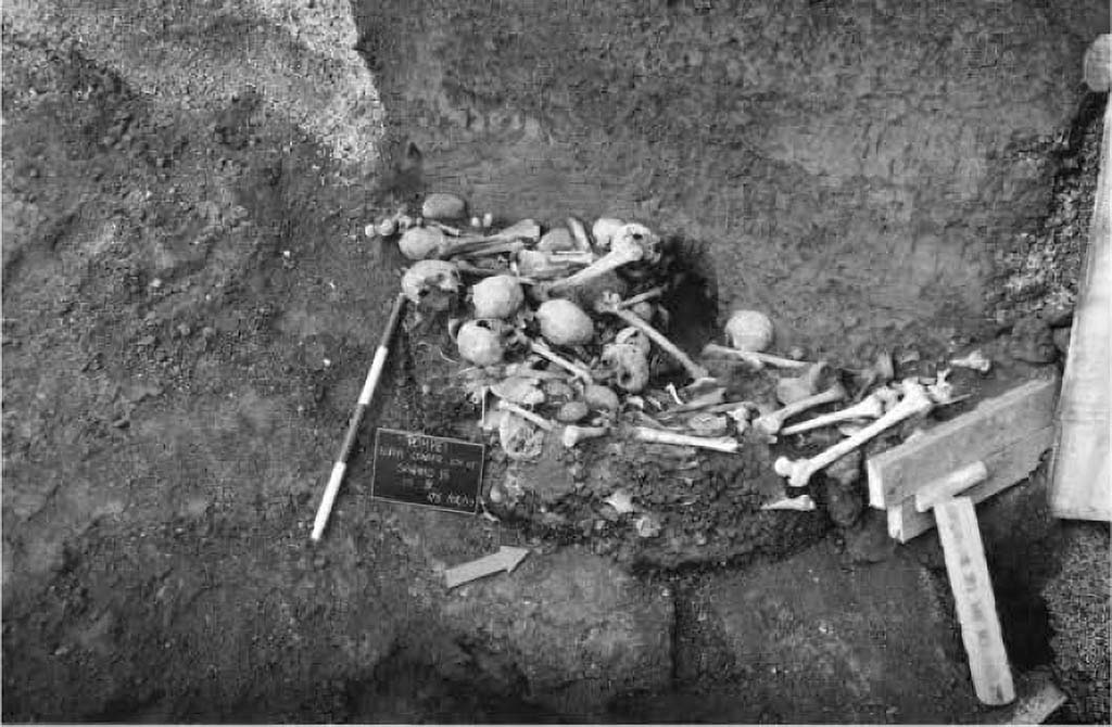 Pompeii Porta Sarno Necropolis. 1999. Deposit of human and a few animal bones.
To the north-west of the funerary enclosure, adjacent to it, an area with structures has been partially explored, characterised by a colonnade in opus vittata mixed with bricks and blocks of lava stone and travertine. The state of the structures and the accumulation, in the same place, of blocks of lava stone that had not yet been hewn, suggest that construction or reconstruction work was still in progress. In the escarpment that delimits this sector on the N side, a large funnel-shaped pit (2.80 m deep, 2.70 m wide at the top and 1.50 m wide at the base) is clearly visible in section, clearly cutting through the eruptive stratigraphy. At the base, there is a deposit of human and a few animal bones, apparently in a secondary position since they are not connected. Beneath this pile of bones, are a few clay pots, also containing burnt bones. This accumulation of artefacts, as well as the wall structures mentioned above, both of which are of unclear interpretation, continue under the slope that delimits the excavation. It is hoped that an extension of the intervention area and further exploration will clarify the situation.
Deposito di ossa umane e alcune animali.
A nord-ovest del recinto funerario, a questo adiacente, è stata parzialmente esplorata un'area con strutture, caratterizzata da un colonnato in opera vittata mista con laterizi e blocchetti di pietra lavica e di travertino. Lo stato delle strutture e l'accumulo, nello stesso luogo, di blocchi di pietra lavica non ancora sbozzati, lascia pensare che fossero ancora in corso lavori di costruzione o di rifacimento. Nella scarpata che delimita questo settore sul lato N, è chiaramente visibile, in sezione, una grande fossa imbutiforme (profonda 2,80 m; larga 2, 70 m alla sommità e 1.50 m alla base) che taglia nettamente la stratigrafia eruttiva. Alla base, c'è un deposito di ossa umane e alcune animali, apparentemente in giacitura secondaria dal momento che non sono in connessione. Sotto questo cumulo di ossa, sono alcuni vasi fittili, anch'essi contenenti ossa combuste. Questo accumulo di reperti, così come le strutture murarie cui si è fatto cenno, ambedue di poco chiara interpretazione. proseguono sotto la scarpata che delimita lo scavo. Si spera che un ampliamento dell'area di intervento e un approfondimento dell'esplorazione possano chiarire la situazione.
See/Vedi Suburbio Orientale in Rivista di Studi Pompeiani X, 1999, p. 182, fig. 4.