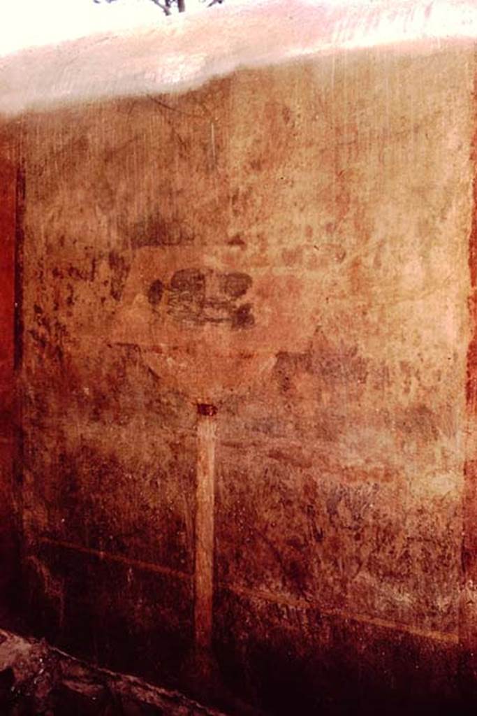 VGJ Pompeii. 1961. Inner side of east wall of tomb with garden scene. Photo by Stanley A. Jashemski.
Source: The Wilhelmina and Stanley A. Jashemski archive in the University of Maryland Library, Special Collections (See collection page) and made available under the Creative Commons Attribution-Non Commercial License v.4. See Licence and use details.
J61f0421