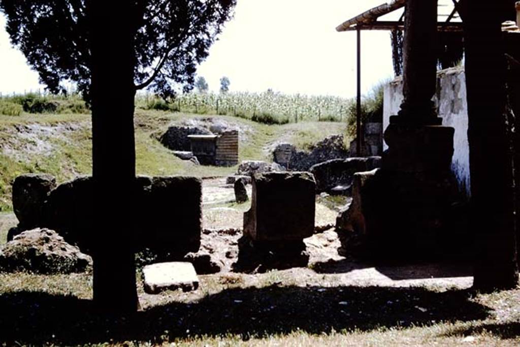 VGK Pompeii. 1964. Looking east from rear of schola tomb. Photo by Stanley A. Jashemski.
Source: The Wilhelmina and Stanley A. Jashemski archive in the University of Maryland Library, Special Collections (See collection page) and made available under the Creative Commons Attribution-Non Commercial License v.4. See Licence and use details.
J64f1630
