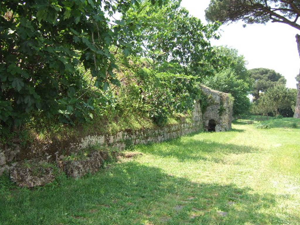 Tombs PSPN Pompeii. May 2006. Looking west along the city walls towards Tower VII.