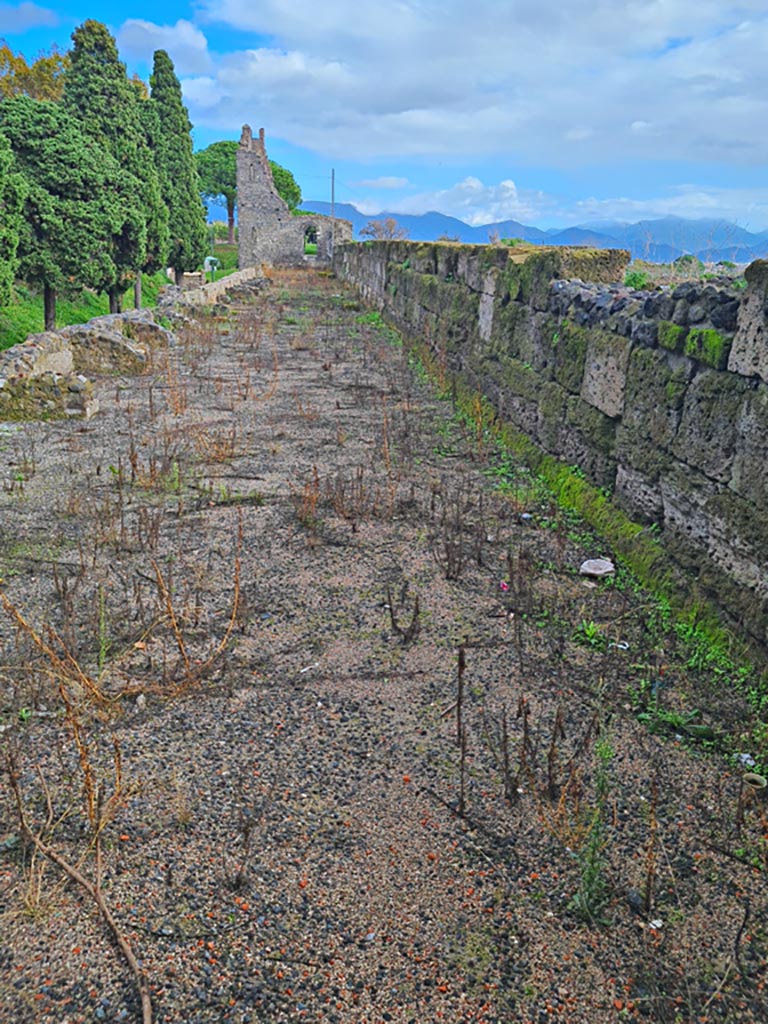 Tower XI, Pompeii. November 2023.
Looking east along walls towards Tower X, from doorway in south-east corner of middle floor room.
Photo courtesy of Giuseppe Ciaramella.