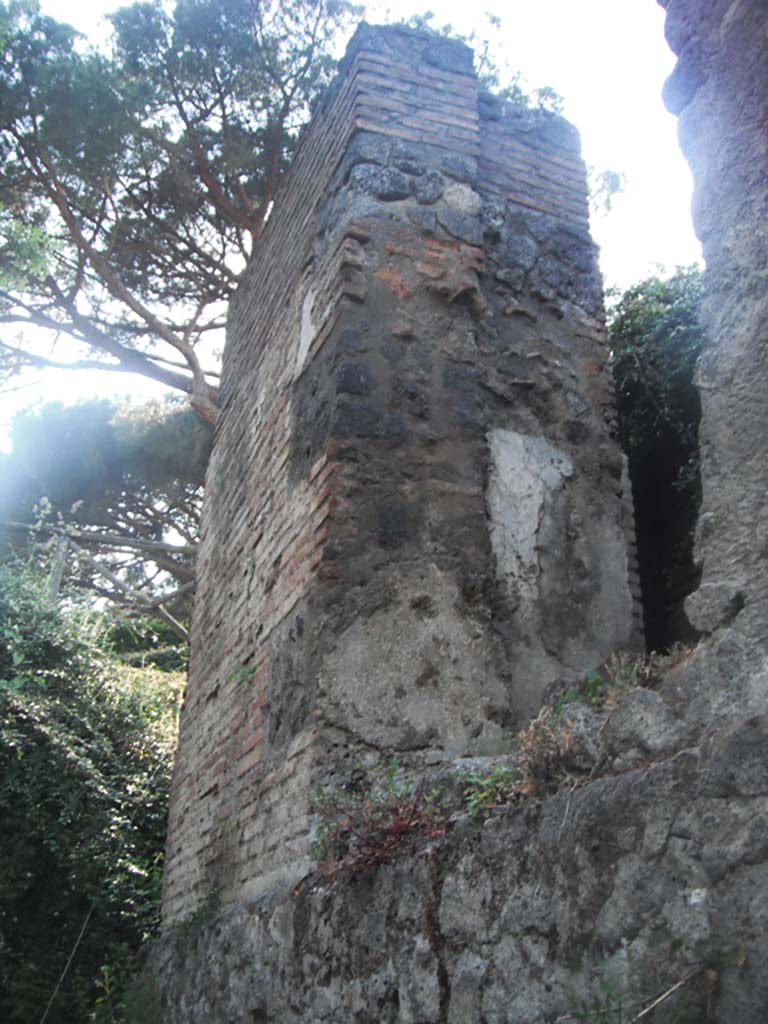 Tower II Pompeii, on south side of City. May 2011.
Looking north-west on west side of upper base of Tower on south side. Photo courtesy of Ivo van der Graaff.
