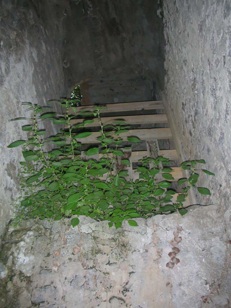 Tower II, Pompeii. May 2010.
Detail of upper floor visible in north wall of narrow room/stairway. Photo courtesy of Ivo van der Graaff.