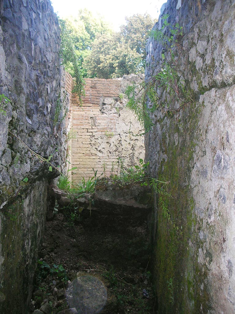 Tower II, Pompeii. May 2010.
Looking south along narrow room/stairway towards south-east corner. Photo courtesy of Ivo van der Graaff.