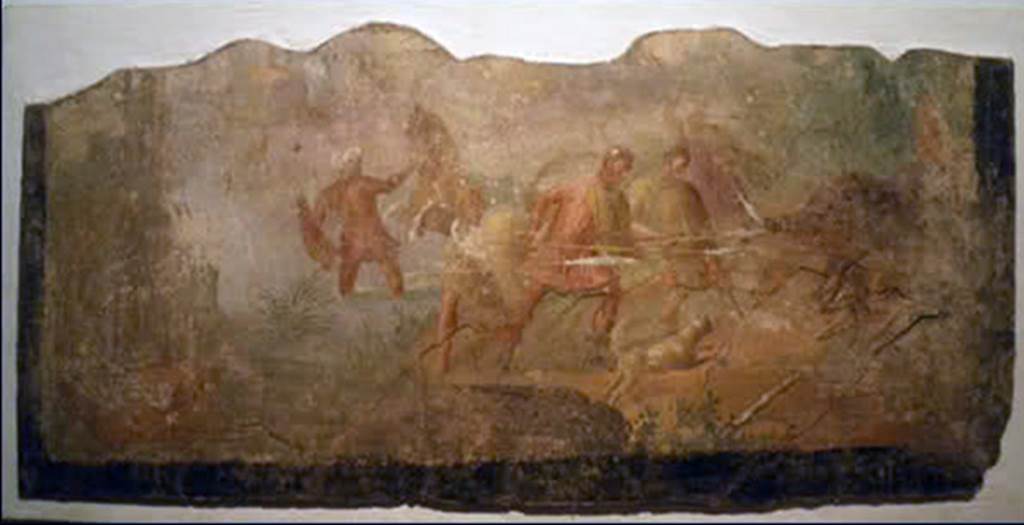 Gragnano. Rustic villa by the Strada Statale 145 Sorrentina. Room 4, triclinium, centre of south wall. Boar Hunt.
Possibly repeating the mythical scene of Meleager hunting the boar.
Stabia Antiquarium inventory number 66656. See Otium Ludens, curated by Guzzo, P, Bonifacio, G, and Sodo, A.M. (2007). Castellammare di Stabia: Nicola Longobardi, p. 174.