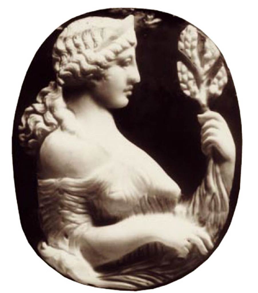 Gragnano, Capella di San Marco. Villa di Anteros ed Heracleo. Villa del Fauno.
Illustration of Agate and onyx cameo depicting a woman, perhaps Venus, holding a leafy branch in her hands.
See Di Massa G., Il Territorio di Gragnano nell’antichità e l’Ager Stabianus, p. 45.