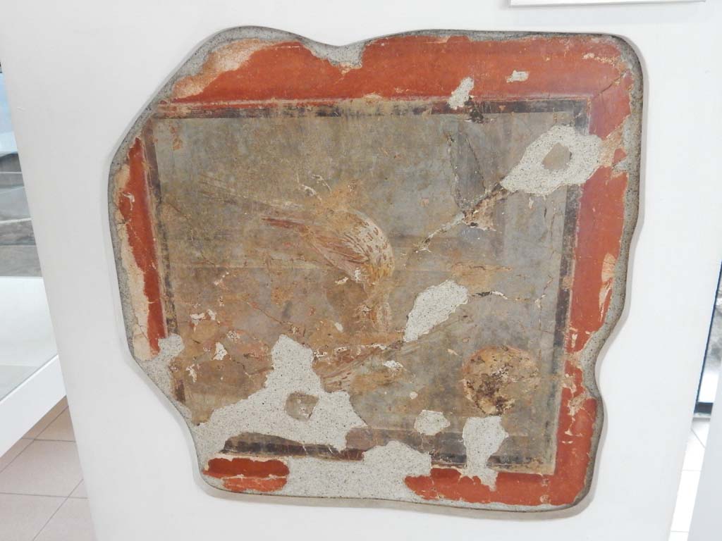 Villa della Pisanella, Boscoreale. May 2018. Room G, triclinium with red walls, north wall. Fresco with one (or two) dead bird(s) on a windowsill.
Now in Boscoreale Antiquarium. Inventory number 20554. Photo courtesy of Buzz Ferebee.
The Antiquarium label describes it as one dead bird on a windowsill.
Varone in 2005 describes it as two song thrushes, one on a shelf and the other lying on a windowsill with its head hanging down.
See Varone A., in Stefani G., 2005. Cibi e sapori a Pompei e dintorni: Antiquarium di Boscoreale, 3 febbraio-26 giugno 2005, p. 17.