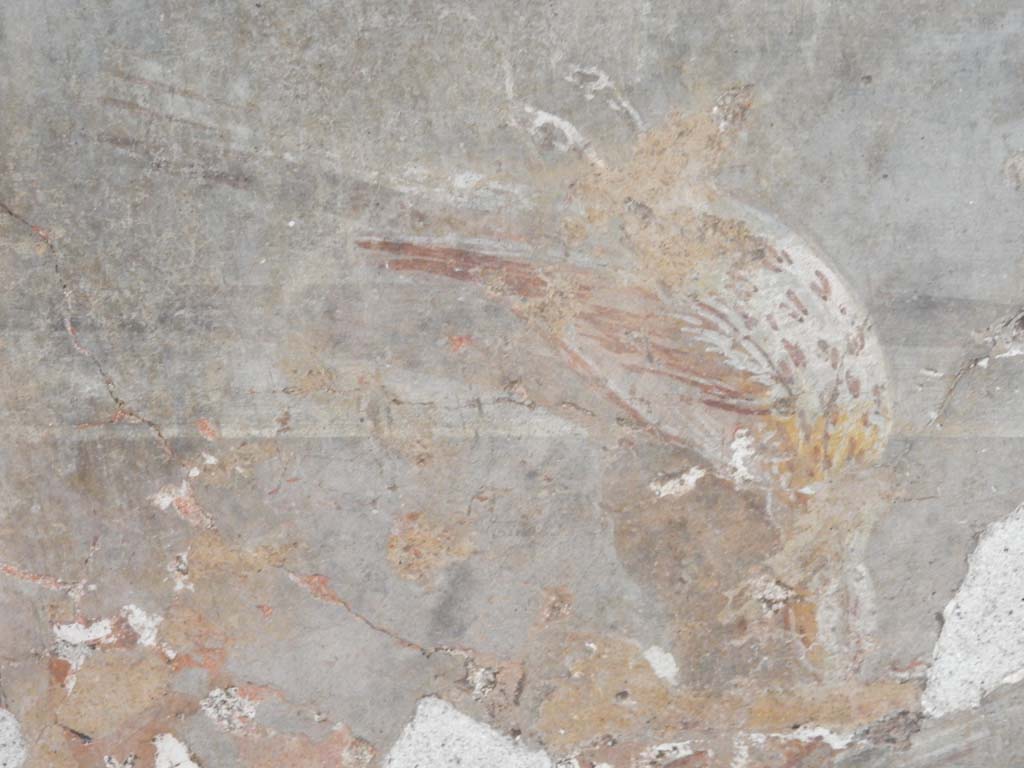 Villa della Pisanella, Boscoreale. May 2018. Room G, room with red walls. Detail from fresco with two dead birds.
Photo courtesy of Buzz Ferebee.