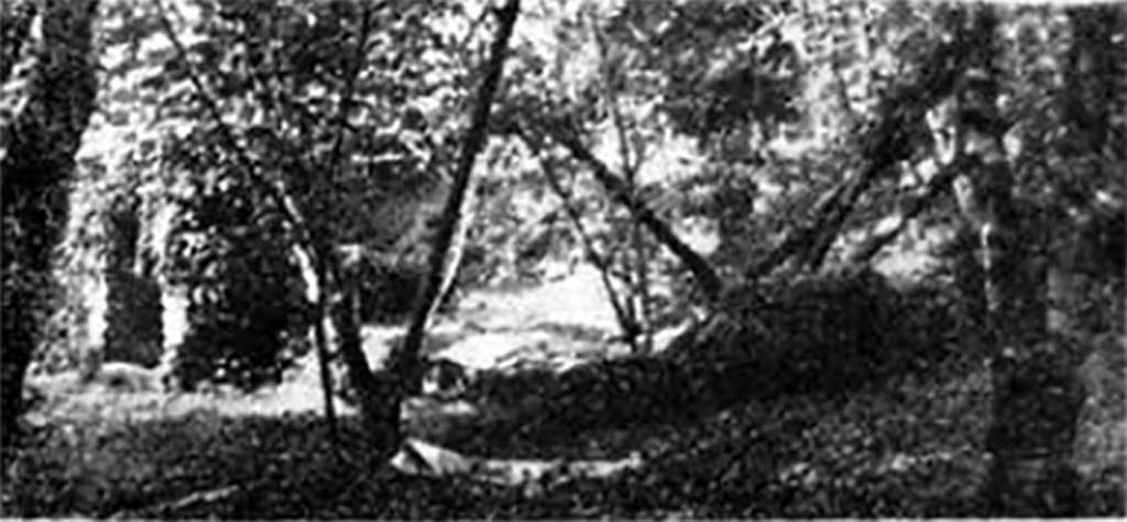 Villa della Pisanella, Boscoreale, 1984. Remains of villa with arch door on left.
See Russo D. La villa rustica come fenomeno economico con particolare riferimento alle ville rustiche del suburbio pompeiano in Sylva Mala V, Bollettino del Centro Studi Archeologici di Boscoreale, Boscotrecase e Trecase, 1984, p. 1, pp. 4-9.
Photo courtesy of the Centro Studi Archeologici di Boscoreale, Boscotrecase e Trecase. Our thanks to Angelandrea Casale.