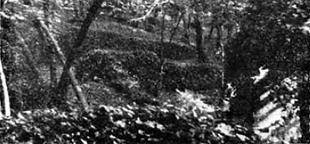 Villa della Pisanella, Boscoreale, 1984. Remains of villa to west of arch doorway.
See Russo D. La villa rustica come fenomeno economico con particolare riferimento alle ville rustiche del suburbio pompeiano in Sylva Mala V, Bollettino del Centro Studi Archeologici di Boscoreale, Boscotrecase e Trecase, 1984, p. 1, pp. 4-9.
Photo courtesy of the Centro Studi Archeologici di Boscoreale, Boscotrecase e Trecase. Our thanks to Angelandrea Casale.