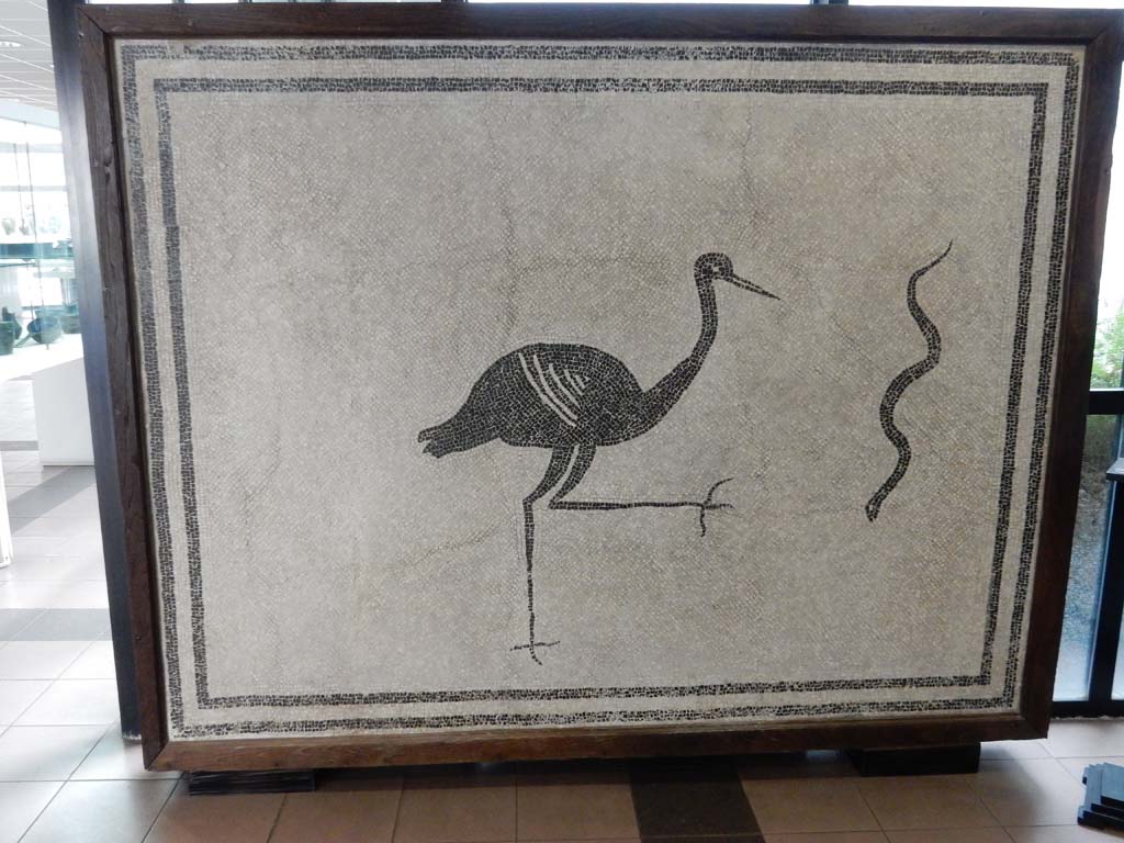 Boscoreale, Villa della Pisanella. May 2018. Calidarium O. Mosaic floor with double black band round edge and stork advancing towards a serpent.
Now in Boscoreale Antiquarium. Photo courtesy of Buzz Ferebee.