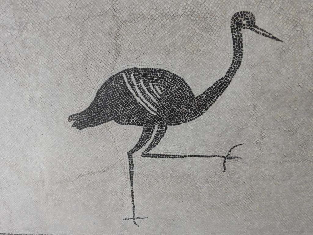 Boscoreale, Villa della Pisanella. May 2018. Calidarium O. Mosaic floor with detail of stork.
Now in Boscoreale Antiquarium. Photo courtesy of Buzz Ferebee.