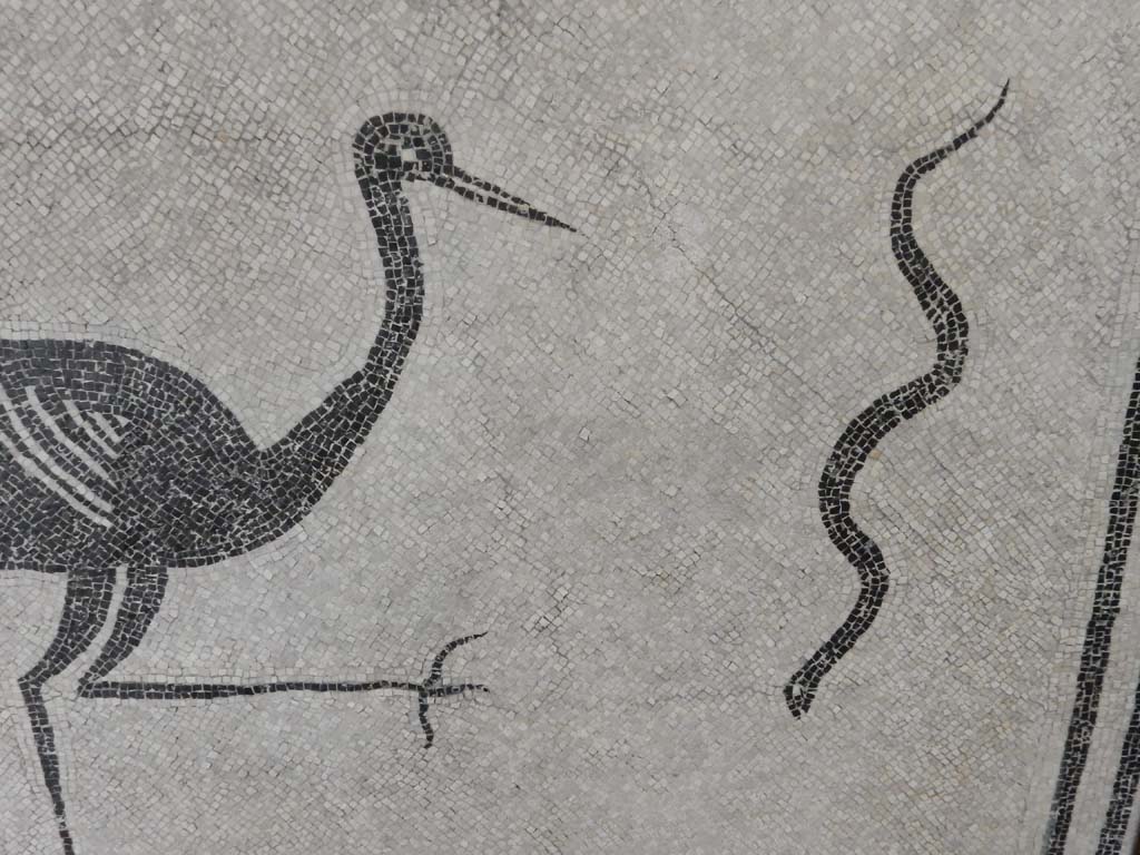 Boscoreale, Villa della Pisanella. May 2018. Calidarium O. Mosaic floor with detail of serpent.
Now in Boscoreale Antiquarium. Photo courtesy of Buzz Ferebee.