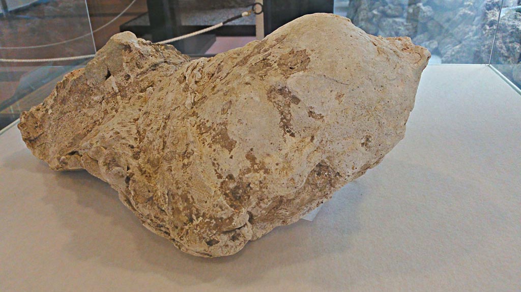 Villa della Pisanella, Boscoreale. December 2018. Torcularium P, plaster-cast of a female head. Photo courtesy of Giuseppe Ciaramella.