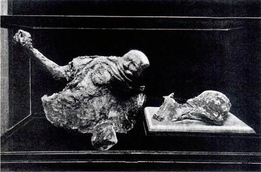 Boscoreale, Villa della Pisanella. 1923. Torcularium. Body cast of head and abdomen and the head of a woman in Pompeii Antiquarium.
The torso was destroyed in the bombing of 1943 and the woman's head damaged and only partly recovered.
See Sogliano, A., 1923. Guida di Pompei: 3rd ed. Milano, p. 5.
See Garcia y Garcia, L., 2006. Danni di guerra a Pompei. Rome: L’Erma di Bretschneider, p. 198, fig. 463.