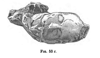 Villa della Pisanella, Boscoreale. Cast of head of a woman.
See Notizie degli Scavi di Antichità, 1895, Fig.53c.