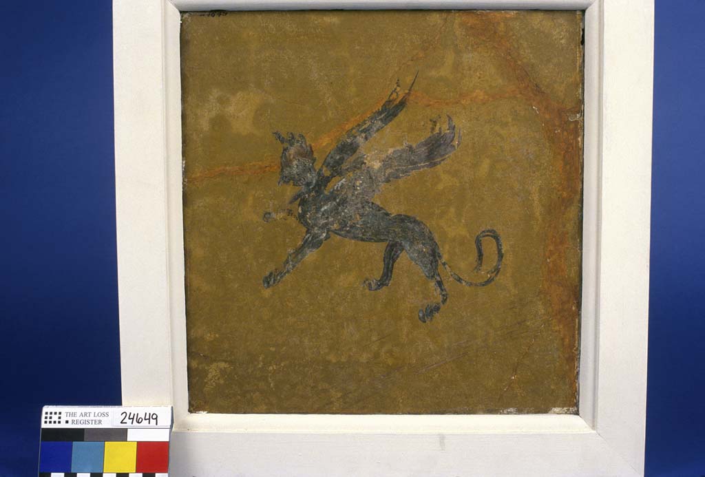 Villa della Pisanella, Boscoreale. Fresco fragment. Decorative figure of a winged male sphinx monster flying upward to left.
Lion and human figure with a wide collar possibly to represent mane, cap with feather plumes, beardless, no indication of sex.
Photo © Field Museum of Natural History - CC BY-NC.
Now in the Field Museum, inventory number 24649. See in Field Museum