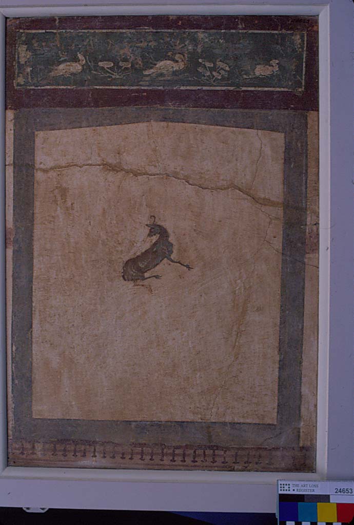 Villa della Pisanella, Boscoreale. Fresco fragment. Decorative compartment with border and top piece detached from a white ground.
Design figure of a deer gazing backwards. Dimensions 2 feet 3 inches x 1 foot 7 inches
Photo © Field Museum of Natural History - CC BY-NC.
Now in the Field Museum, inventory number 24653. See in Field Museum