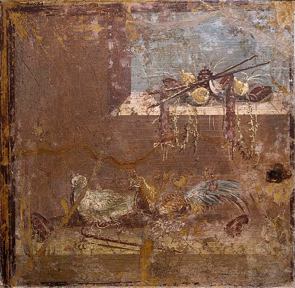 Villa della Pisanella, Boscoreale. Fresco fragment. Small decorative compartment showing an interior with a window. Pine cone, fungus, wreaths, plants.
According to de Cou, on the window-sill there is a heap of objects of somewhat uncertain character lying on an elliptical drab mat.
The following is an enumeration of them:
2 large brown platters with sloping sides.
3 yellow objects, probably gourds.
1 tall slender brown jug lying on its side.
2 brown staves lying crossed on top of the preceding objects. They seem to be made of grapevine, which is untwisted at one end.
2 brown objects hanging from near opposite ends of one of the staves, perhaps the bodies or skins of small animals (not hares), perhaps sausages.
I large pine cone.
1 grayish object resembling a fungus.
2 wreaths, consisting of hoop and straight end, in brownish white. They hang over the edge of the sill.
Several plants with tall slender whitish leaves. Some of them rise above the heap, others hang over the inner edge of the sill.
Beneath the window there is a rather broad ledge or floor which is white in the foreground, brownish red at the left end and light brown at the back, where it is not very clearly distinguished from the front upright wall. On this floor there are several objects.
At the left a large whitish and greenish gray bird, perhaps a female pheasant, seems to be sitting on a sort of nest.
Next to her on the right there is a corresponding male bird painted in a variety of colors.
In the foreground there are two staves like those in the window-sill, and the spiral end of a third.
At the left end of the white part of the. floor there is a reddish brown platter, somewhat larger than those described above, tilted against the wall.
At the right of the male bird there is an uncertain object in reddish brown, perhaps a vase.
In the extreme right corner of the floor there is a reddish brown pitcher with base, handle and long curved beak, lying on its side.
See De Cou F. Antiquities from Boscoreale in Field Museum Of Natural History (January 1, 1912), p. 168.
Photo © Field Museum of Natural History - CC BY-NC.
Now in the Field Museum, inventory number 24654. See in Field Museum.