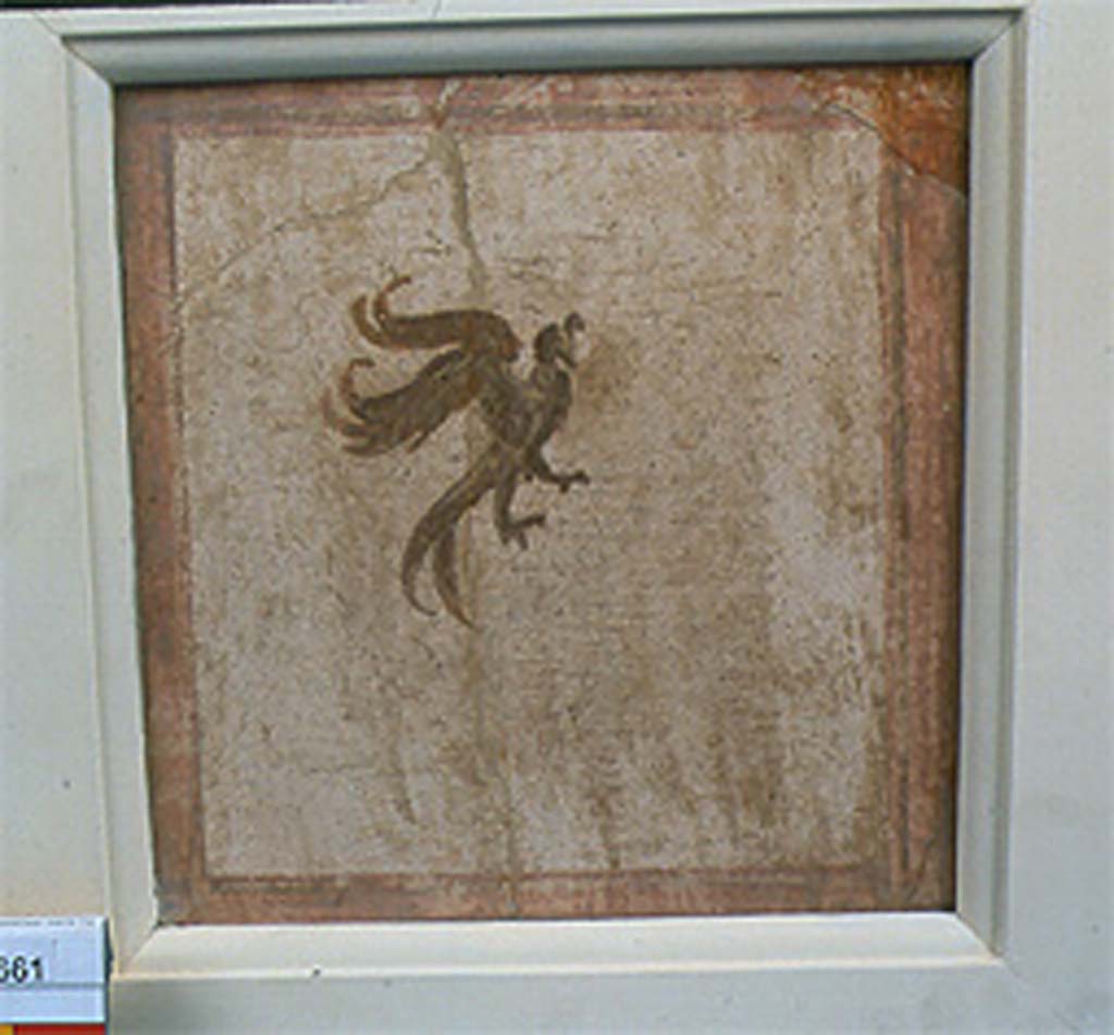 Villa della Pisanella, Boscoreale. Fresco fragment. Small decorative compartment with bird.
Quadrangular border, flying bird or griffin with curved beak, outspread toes or talons.
No. 24661 is perhaps from an upper division, or possibly from the ceiling.
Photo © Field Museum of Natural History - CC BY-NC.
Now in the Field Museum, inventory number 24661. See in Field Museum