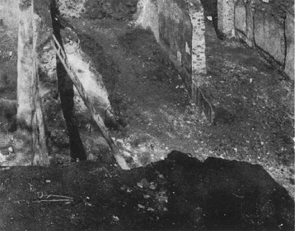 Villa of P. Fannius Synistor at Boscoreale. The excavations during reburial in mid September 1900.
Hallway or vestibule B. Where the ladder is leaning is the west end.
The rear portico, much wider and on a higher level than the other two, was reached by a flight of five steps, from the peristyle courtyard A.
At the top of the 5 stairs was a row of four columns flanked by pilasters which formed a vestibule (room B) which led to the more elegant quarters of the owner.
The four columns and the pillar at each corner were taller than the other columns, covered with white stucco, fluted above, and plain below.
The back of the vestibule was painted to represent a peristyle colonnade, and between some of the columns could be seen trees and birds in a painted garden.
The vestibule had a white mosaic floor edged with a black band. Its walls were all painted with architecture and landscapes.
The wall towards the lararium (the west or left wall) had deteriorated. The lararium was found stripped.
See Jashemski, W. F., 1993. The Gardens of Pompeii, Volume II: Appendices. New York: Caratzas, (p. 285-6).