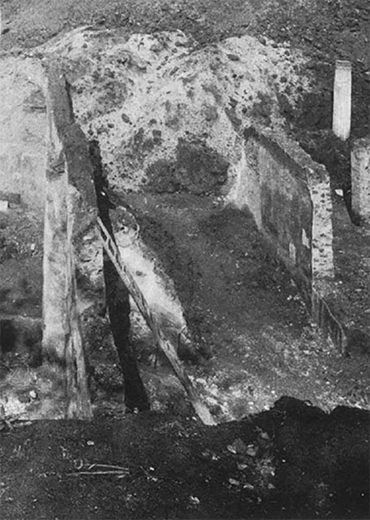 Villa of P. Fannius Synistor at Boscoreale.
Room D. The room of the musical instruments during reburial in mid September 1900.
This room which by a small opening had access from the vestibule, had a wide doorway communicating with the peristyle.
It was paved in white mosaic with double bands of black mosaic along the sides; and had a length of about six metres and twenty centimetres, and the width of just over four and a half metres.
It had the decoration mimicking a portico formed with pilasters, and with painted green garlands of foliage and pinecones across its yellow background..
This appeared to be a room that seemed to have been intended solely for storage of musical instruments.
These could be seen painted life-size on its walls, with flutes, cymbals, a trumpet and a pan-pipe, all at eye-level on the walls.
These were the instruments of cult of Dionysus, which had accompanied the orgiastic dance.
See Barnabei F., 1901. La villa pompeiana di P. Fannio Sinistore. Roma: Accademia dei Lincei. p. 36-38.