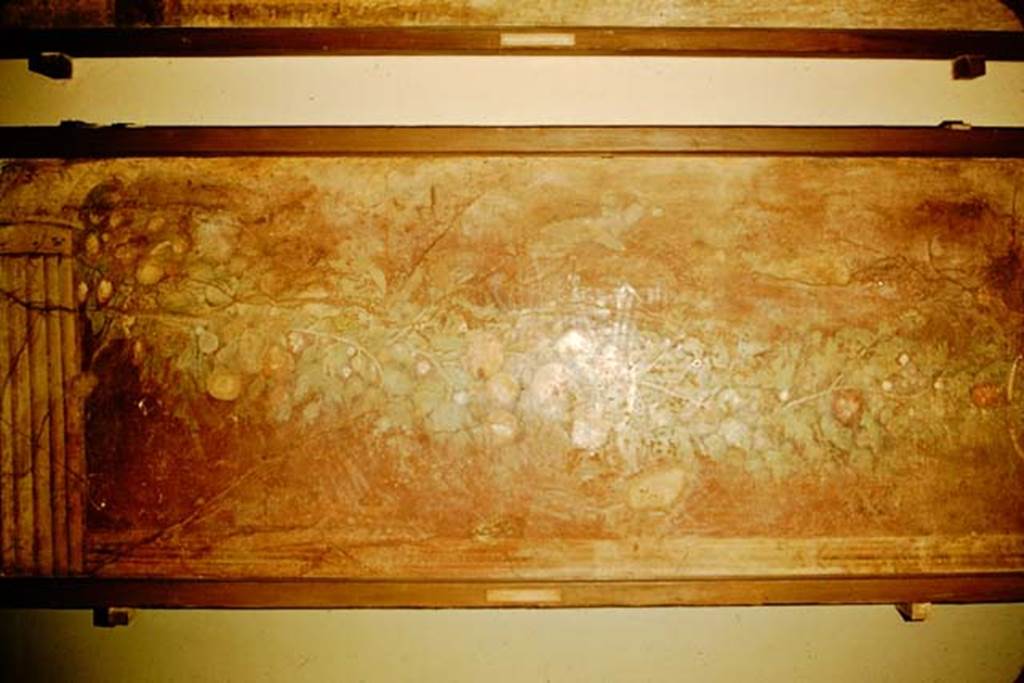 Villa of P. Fannius Synistor at Boscoreale. 1957. Peristyle E, south end of west wall.
Fruit and leaf garland painting with Corinthian column.
Now in Naples Archaeological Museum. Inventory number s.n. 2.
Photo by Stanley A. Jashemski.
Source: The Wilhelmina and Stanley A. Jashemski archive in the University of Maryland Library, Special Collections (See collection page) and made available under the Creative Commons Attribution-Non Commercial License v.4. See Licence and use details.
J57f0503