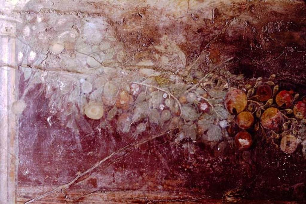 Villa of P. Fannius Synistor at Boscoreale. 1968. Peristyle E, south end of west wall.
Fruit and leaf garland painting with Corinthian column (Left hand end)..
Now in Naples Archaeological Museum. Inventory number s. n. 2.
Photo by Stanley A. Jashemski.
Source: The Wilhelmina and Stanley A. Jashemski archive in the University of Maryland Library, Special Collections (See collection page) and made available under the Creative Commons Attribution-Non Commercial License v.4. See Licence and use details.
J68f0806