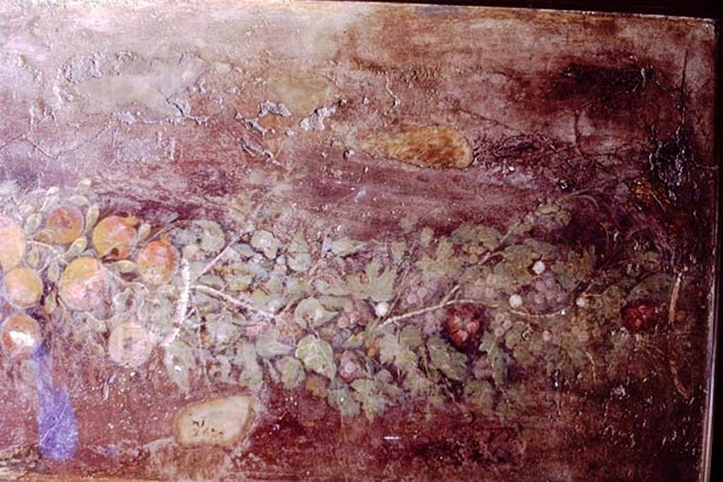 Villa of P. Fannius Synistor at Boscoreale. 1968. Peristyle E, south end of west wall.
Fruit and leaf garland painting with Corinthian column (Right hand end).
Now in Naples Archaeological Museum. Inventory number s. n. 2.
Source: The Wilhelmina and Stanley A. Jashemski archive in the University of Maryland Library, Special Collections (See collection page) and made available under the Creative Commons Attribution-Non Commercial License v.4. See Licence and use details.
J68f0807