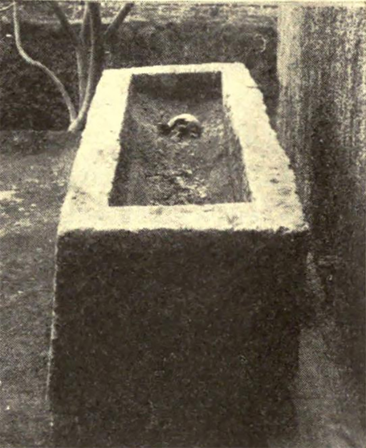 Pompeii. Villa rustica in contrada Messigno proprietà Giacomo Matrone. 1923. Exedra 9, sarcofago di tufo di Nocera.
I contorni degli ambienti si delineavano ancora così chiaramente fuori terra, da poter fare scegliere in questa villa il sito conveniente per dare degna sepoltura ad un ignoto abitatore della landa ripopolata. L'ampia exedra “n.9”, posta al centro del lato orientale dell'atrio “A”, fu quella che, sgombrata e poi ricolmata, accolse sul suo pavimento, in posizione regolarmente coordinata all'andamento delle pareti, il defunto, adagiato in un massiccio, monolitico, ma rustico, sarcofago di tufo di Nocera, lungo m. 2,30, oggi a Pompei.
See Notizie degli Scavi di Antichità, 1923, p. 273, fig. 2.