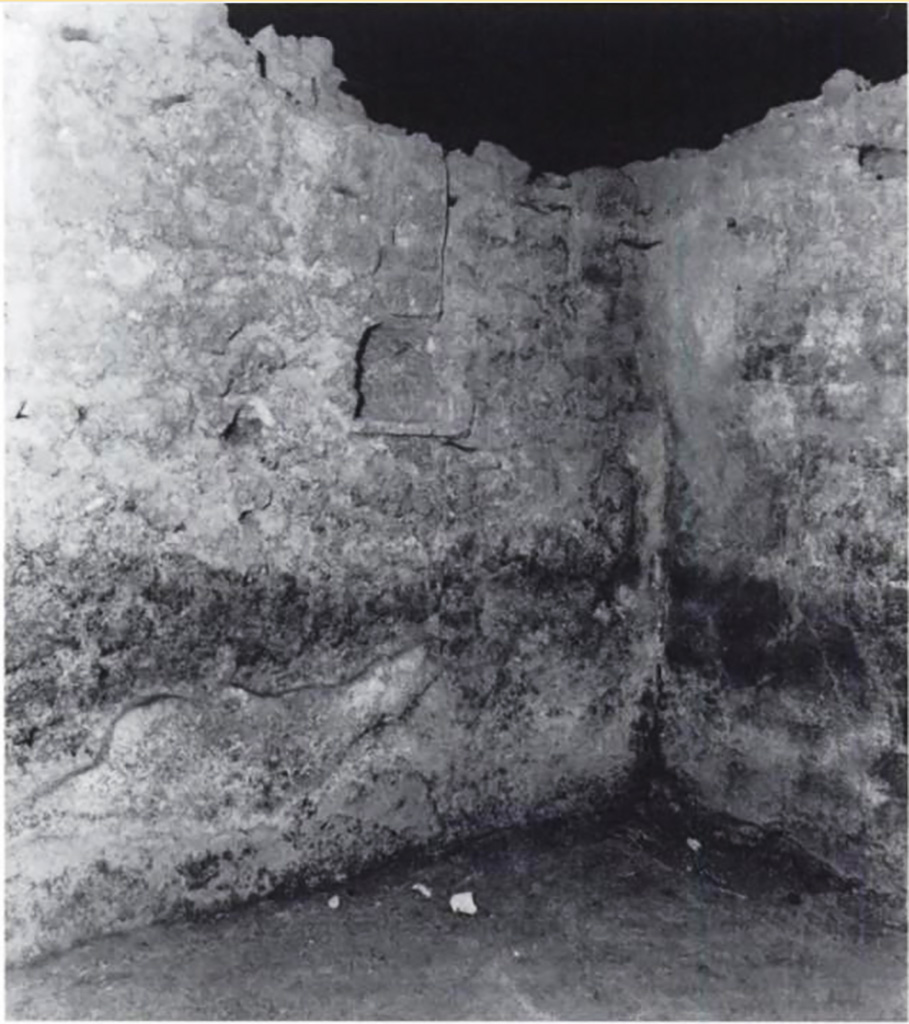 53. Scafati, Villa N. Popidi Narcissi Maioris. Room 11, storeroom. Niche on north wall.
Su tale parete compare anche una piccola nicchietta (alt. m. 0,30; largh. m. 0,28), rivestita di intonaco, a m. 1,20 dal piano pavimentale (Fig. 59).
On this wall there is also a small niche (height 0.30 m; width 0.28 m), covered with plaster, at m. 1.20 from the floor level (Fig. 59).
See Conticello de' Spagnolis, M., 2002. La villa "N. Popidi Narcissi Maioris": in Scafati, suburbio orientale di Pompei, p. 82, fig. 59.