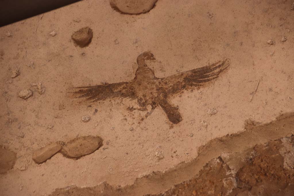 Oplontis Villa of Poppea, October 2020.
Room 4, detail of painted bird from upper west wall, left of centre. Photo courtesy of Klaus Heese.