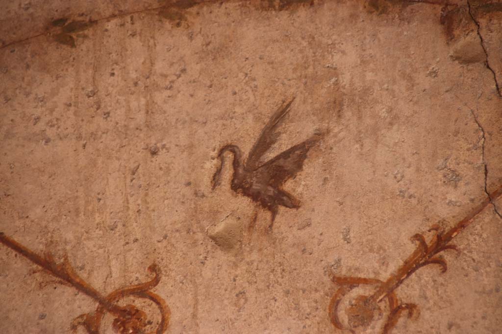 Oplontis Villa of Poppea, October 2020. Room 4, detail of painted swan on north wall in north-west corner.
Photo courtesy of Klaus Heese.