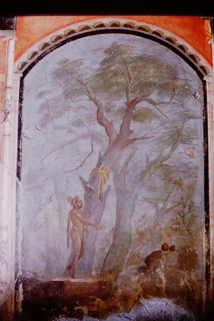 Oplontis, 1973. Detail from Hercules in the Garden of the Hesperides. Photo by Stanley A. Jashemski.
Source: The Wilhelmina and Stanley A. Jashemski archive in the University of Maryland Library, Special Collections (See collection page) and made available under the Creative Commons Attribution-Non Commercial License v.4. See Licence and use details. J73f0374