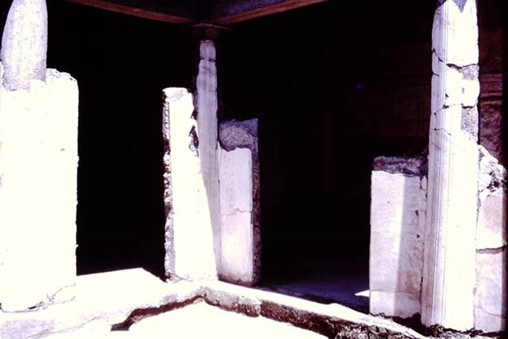 Oplontis, 1977. Area 19, north-east corner leading onto room 13, the portico. Photo by Stanley A. Jashemski.   
Source: The Wilhelmina and Stanley A. Jashemski archive in the University of Maryland Library, Special Collections (See collection page) and made available under the Creative Commons Attribution-Non Commercial License v.4. See Licence and use details. J77f0353
