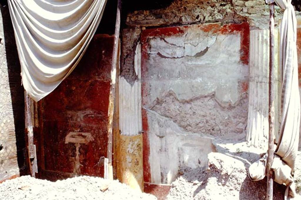 Oplontis, 1968. Room 20, east wall of enclosed garden. Photo by Stanley A. Jashemski.
Source: The Wilhelmina and Stanley A. Jashemski archive in the University of Maryland Library, Special Collections (See collection page) and made available under the Creative Commons Attribution-Non Commercial License v.4. See Licence and use details. J68f1508