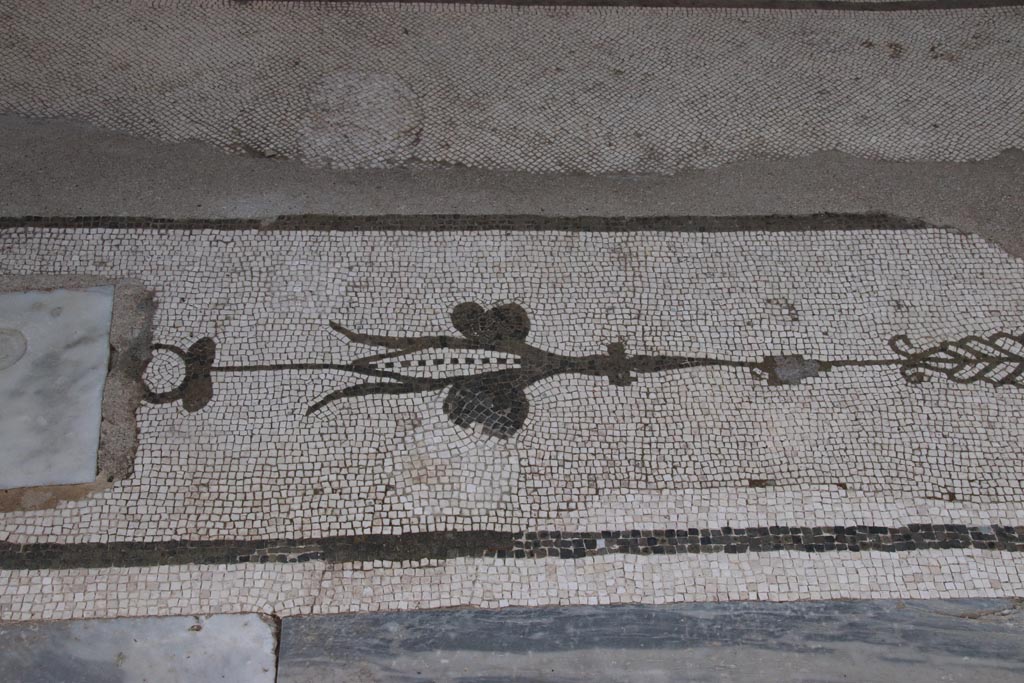 Oplontis Villa of Poppea, May 2024.
Room 21, detail of threshold between two columns, from centre of north side of large room at east end. Photo courtesy of Klaus Heese.