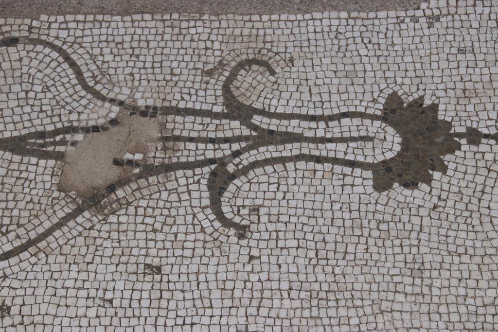 Oplontis Villa of Poppea, May 2024.
Room 21, detail of from west side of middle of threshold between two columns. Photo courtesy of Klaus Heese.
