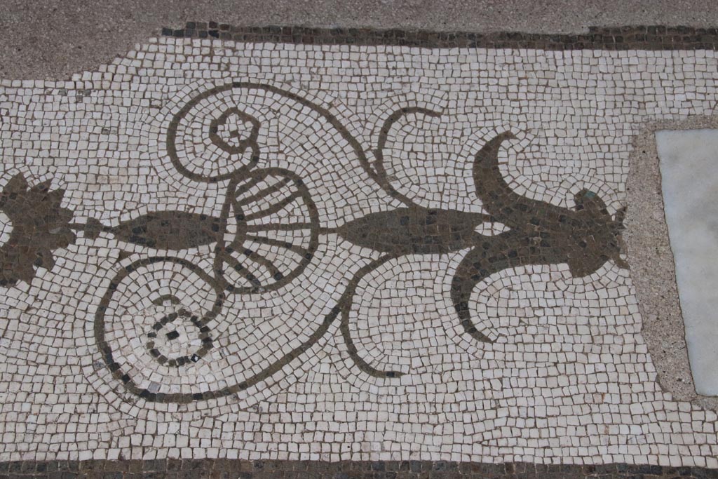 Oplontis Villa of Poppea, May 2024.
Room 21, detail of mosaic from west side of threshold between two columns of large room. Photo courtesy of Klaus Heese.