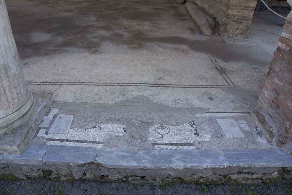 Oplontis Villa of Poppea, March 2019.
Room 21, looking south towards doorway threshold from west (right) side between column and pilaster of large room.
Foto Annette Haug, ERC Grant 681269 DÉCOR.