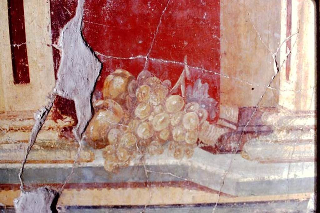 Oplontis, 1972 (or 1973). Room 23, painted still-life of a bunch of grapes. Photo by Stanley A. Jashemski.
Source: The Wilhelmina and Stanley A. Jashemski archive in the University of Maryland Library, Special Collections (See collection page) and made available under the Creative Commons Attribution-Non Commercial License v.4. See Licence and use details. J72f0258