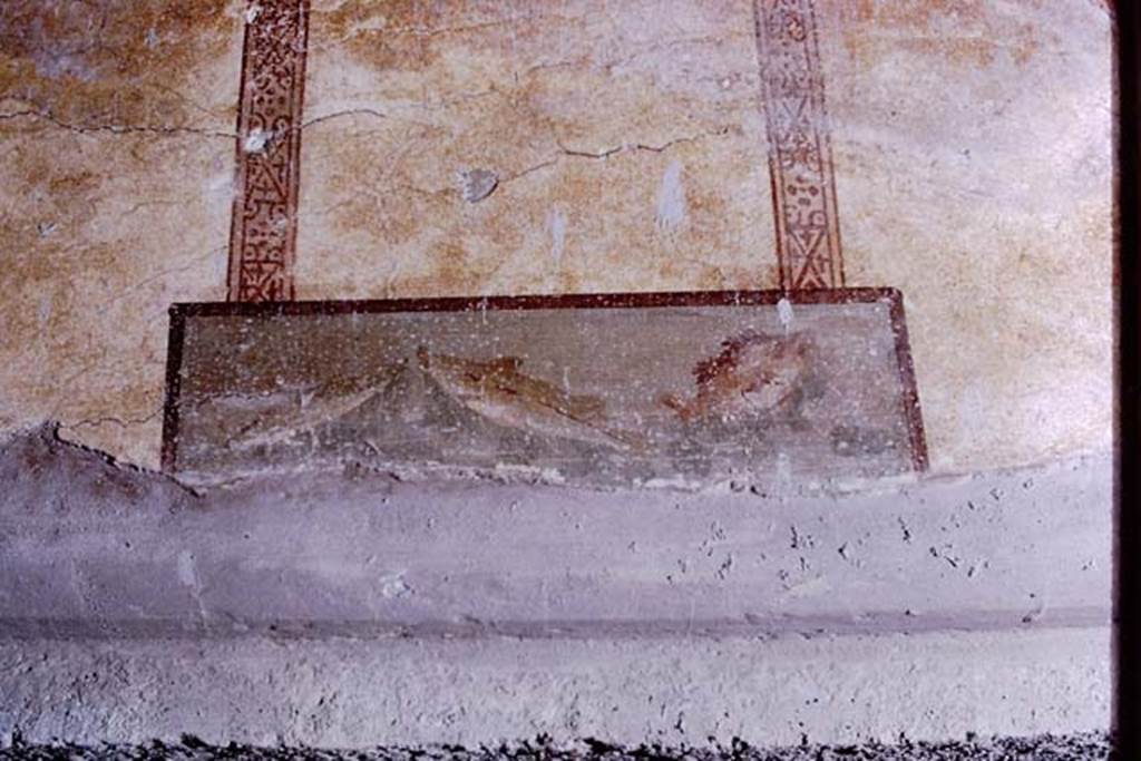 Oplontis Villa of Poppea, 1973. Room 27, painted panel with fishes. Photo by Stanley A. Jashemski.
Source: The Wilhelmina and Stanley A. Jashemski archive in the University of Maryland Library, Special Collections (See collection page) and made available under the Creative Commons Attribution-Non Commercial License v.4. See Licence and use details.
J73f0368