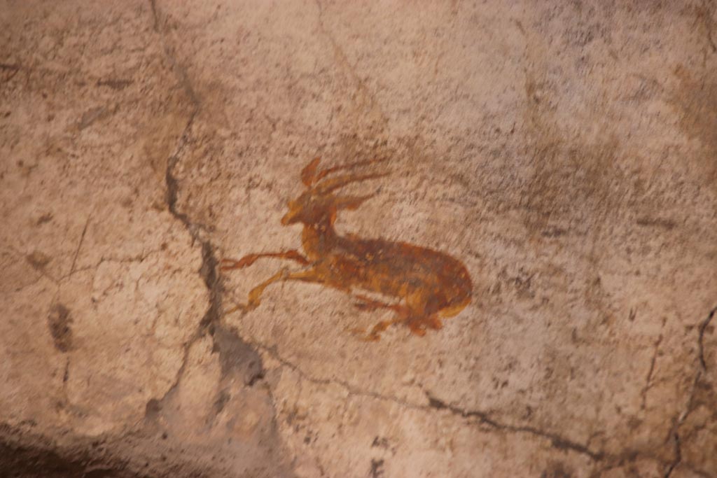 Oplontis Villa of Poppea, May 2024. Room 27, detail of painted deer on west wall, behind lararium. Photo courtesy of Klaus Heese.